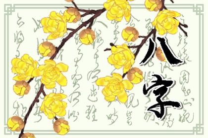 阳干日主的性情画像