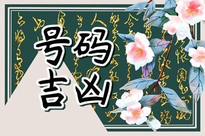 号码吉凶是什么