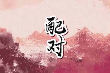 分数不高时的相处策略