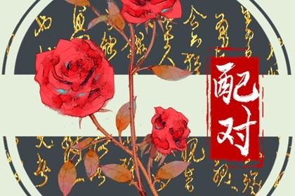 爱情姓名配对_合八字免费算命_缘份姓名配对