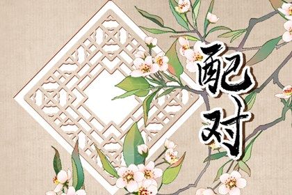 用数字能量测手机号,试手机号码吉凶,手机号免费测算,女性手机号码测吉凶