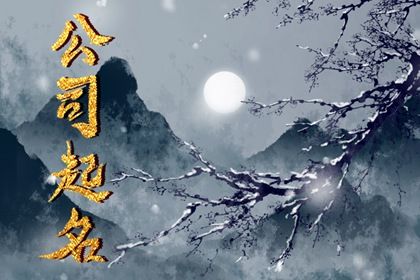 十二宫位详解,五行命盘测算,命命盘,占星命盘查询,看八字命盘